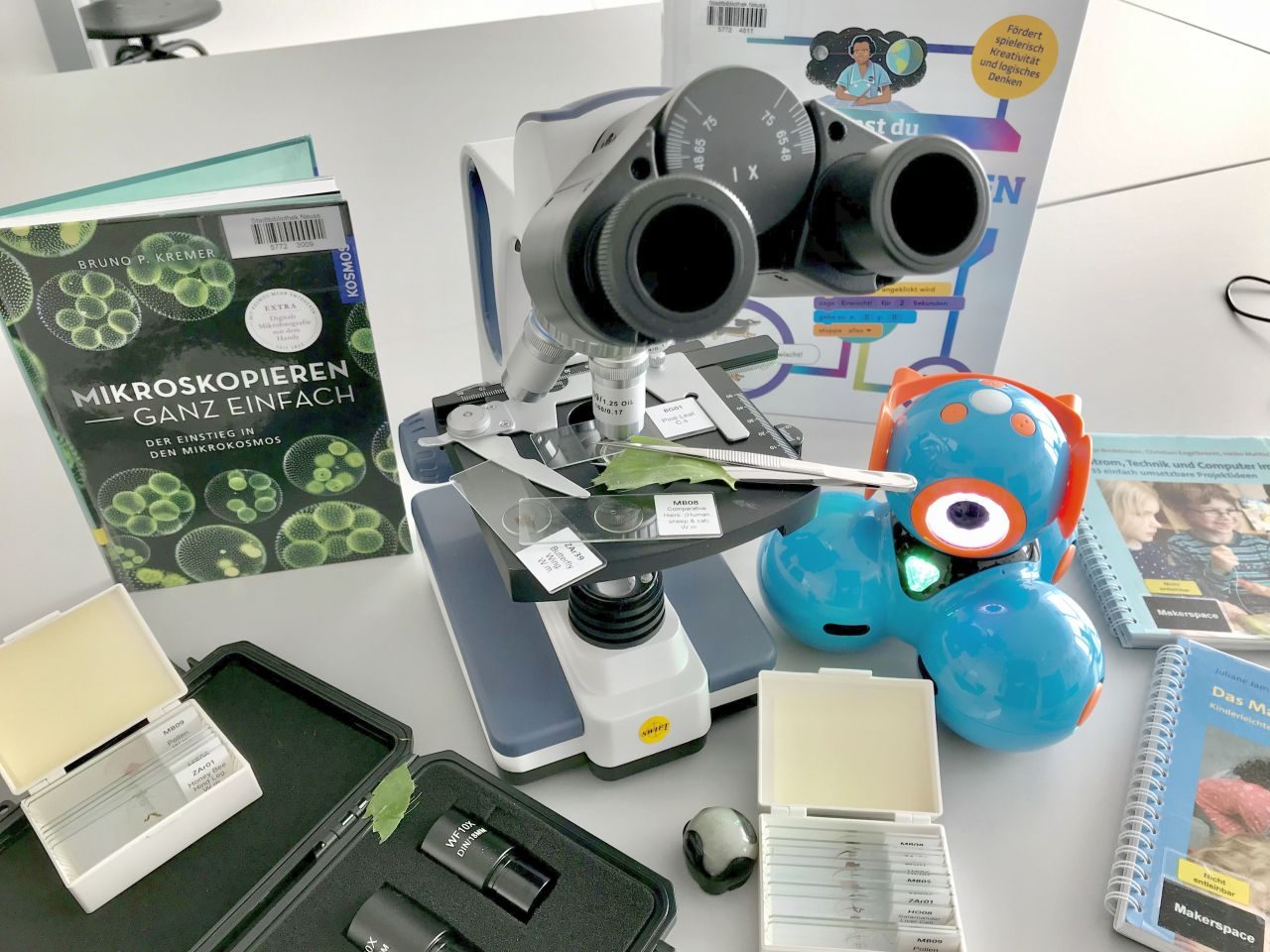 Lernroboter und Mikroskop auf Arbeitstisch