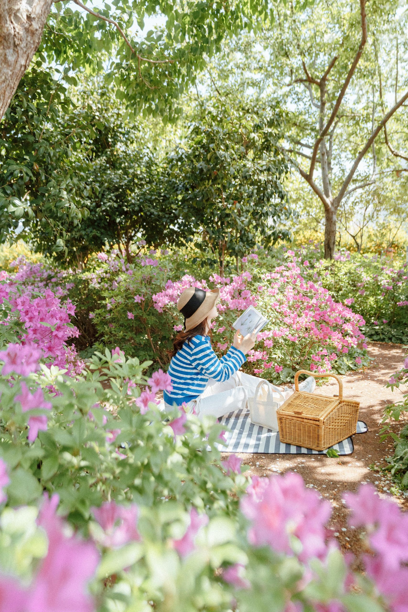 Eine Frau sitzt auf einer Decke in einem schönen Park mit grünene Bäumen und rosa blühenden Büschen. Sie hält ein Buch in der Hand und liest.
