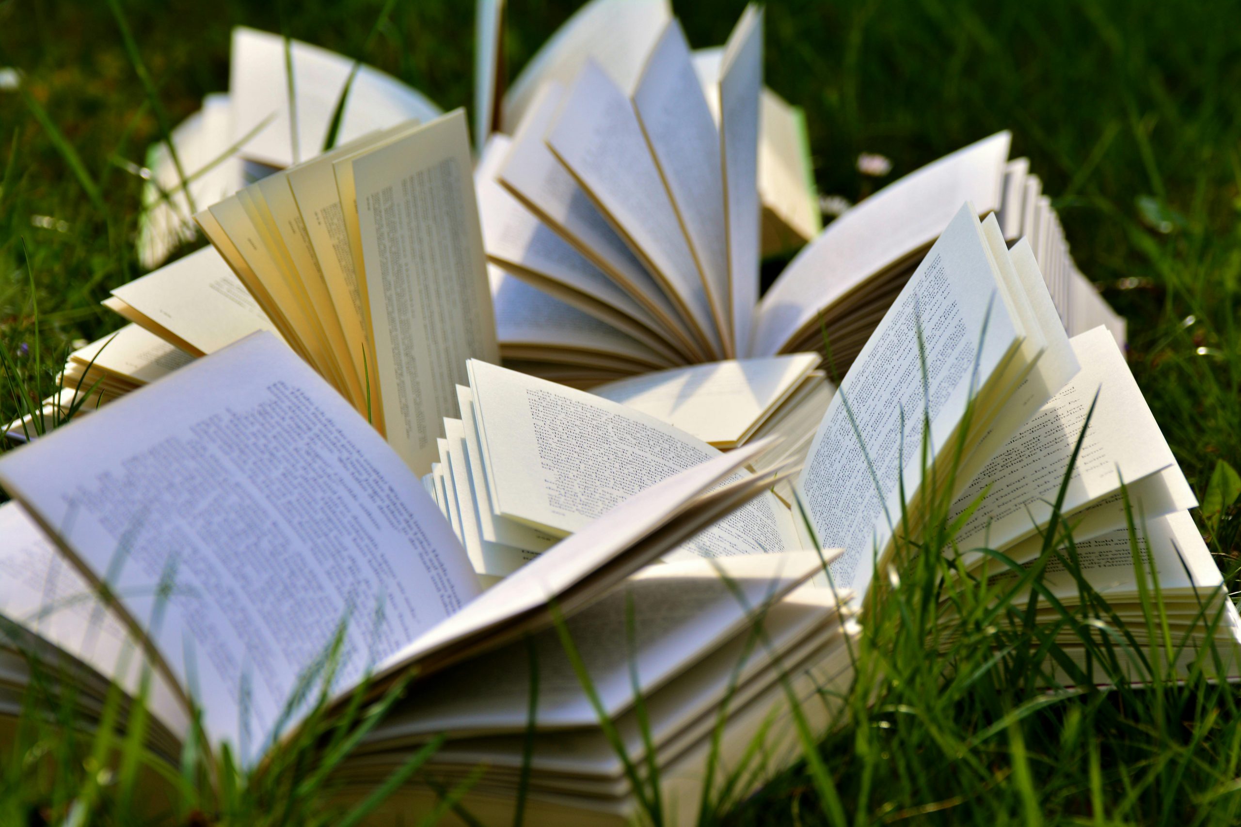 Auf einer grünen Wiese liegen mehrere aufgeschlagene Bücher.